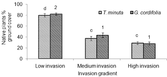 Image result for Gutenbergia trifolia
