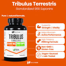 Image result for Tribulus terrestris