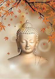 Celebrity wallpapers health & lifestyle news sports. Buy Lord Buddha Wallpapers Online 2950 From Shopclues