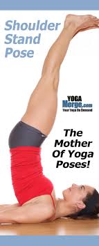 Learn More About The Queen Or Mother Of All Yoga Poses Shoulder Stand Pose This Yoga Pose Is An In All Yoga Poses Yoga Poses Yoga For Beginners Flexibility