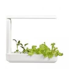 Original microgreens research and relevant articles. Vegebox Kitchen Indoor Hydroponic Garden