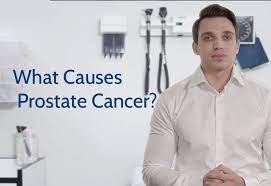 2 redman place, london, e20 1jq. What Causes Prostate Cancer Prostate Cancer Foundation