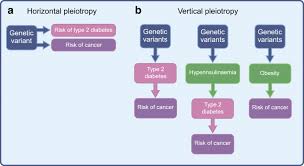 They can just look into each others' eyes and understand what they are thinking or what they desire, especially if they are in an intimate relationship such as a marriage. The Relationship Between Type 2 Diabetes And Cancer A The Increased Download Scientific Diagram