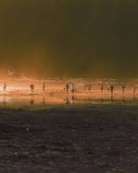 The Photographer Interviews: Harry Sohal