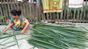Contact daun biru on messenger. Daun Rumbia Steemit