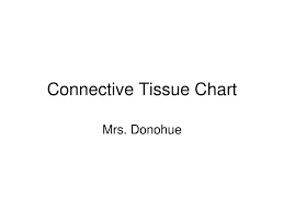 Connective Tissue Chart Ppt Download