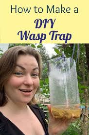 During summer months wasps can be pesky. Homemade Wasp Trap Crafty Little Gnome
