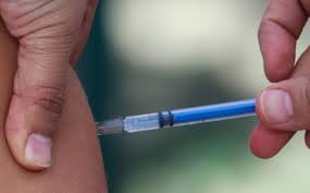 Así es el registro para adultos mayores, paso a paso. Garztisitcfs6m