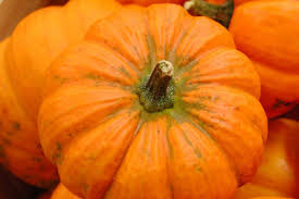 Small orange fruits develop along prickly stems that emerge from attractive, bushy plants at the end of summer. Growing Pumpkins Extension Service West Virginia University