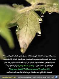أسرار القرآن بالصور Knowledge Quotes Quran Islam
