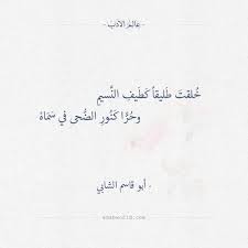خلقت طليقا كطيف النسيم أبو قاسم الشابي عالم الأدب Words Quotes Inspirational Quotes Motivation Quran Quotes