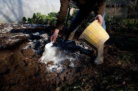Add lime to your vegetable garden with help from the owne. Which Garden Plants Need Lime