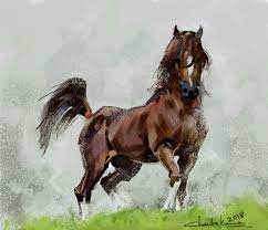 We did not find results for: Artstation Horse Study 1 Reference From Pinterest Chandrakumar T