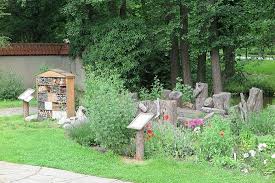 Představuje místo klidu, různých in olomouc, in the middle of the city, there is the botanical garden. Botanicka Zahrada Rozarium Olomouc 2021 All You Need To Know Before You Go With Photos Tripadvisor