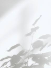 Beautiful vector, photo and png textures. 900 White Background Images Download Hd Backgrounds On Unsplash