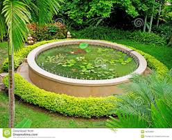 Lotus Pond Lotus Pond Bird Bath Outdoor Decor