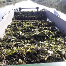 Michelle Ackroyd (@shelleyga)