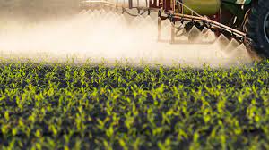 When To Apply Foliar Spray