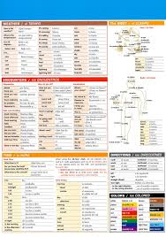 Spanish Vocabulary Sparkcharts