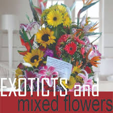 Send flowers to colombia medellin. Send Flowers To Medellin Colombia Enviar Flores A Medellin Colombia