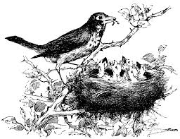 Black And White Bird Florida Pin By From Me To You On Creation Art Bird Clipart Birds Clip Art