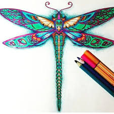 Free period's latest coloring book, you got this: 62 Coloring Dragonfly Ideas Johanna Basford Coloring Dragonfly Enchanted Forest Coloring