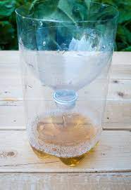 How To Get Rid Of House Flies With Vinegar Hello Lidy In 2021 Fruit Fly Trap Diy Fruit Fly Trap Fruit Fly Trap Diy