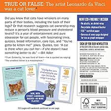 Settings page, add the calendars (or in this case the views of this calendar) you wish to see by clicking the new calendar link. Buy A Year Of Cat Trivia Page A Day Calendar 2021 Calendar Day To Day Calendar July 28 2020 Online In Turkey 1523509090
