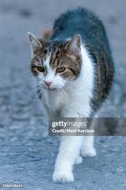 1,060 Larry Well Stock Photos, High-Res Pictures, and Images