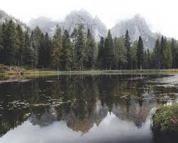 Image result for tbn:ekRZeqiUkU8b5M::www.hormiga.org/fondosescritorio/wallpapers/Paisajes-y-naturaleza/fotos/Paisajes-22.jpg