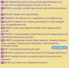 Her Yerde Niye Ikizler Delirdi Yaziyolar Ikizler Burclar Ikizler Burcu