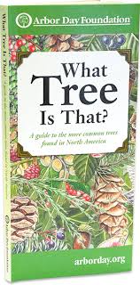 What Tree Is That Tree Identification Guide At Arborday Org