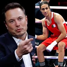 Internet impazzisce mentre Elon Musk dichiara: "Nessun maschio biologico  negli sport femminili," lasciando i follower senza fiato, ridendo e pronti  con i popcorn!