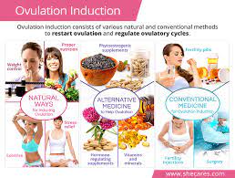 Ovulation Induction | SheCares