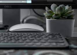 If there is moss there it is probably too wet. How To Grow Succulents In The Office Indoors Or In Low Light Succulent Plant Care