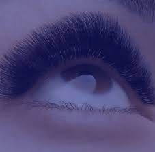 Lavish lashes® is looking for highly skilled eyelash extension professionals who have a true passion for. Welcome To La Lash Academy Eyelash Extensions Professional Training School