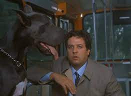 Dopo essersi trasferito a roma per lavoro, giorgio. La Casa Stregata Il Cane Gaetano E Apparso In Altri Film Ecco Quali Movieplayer It