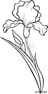 Download The Royalty Free Vector Iris Flower Silhouette Vector Tattoo Illustration Designed By Sagitovpainter A Iris Painting Flower Silhouette Iris Drawing