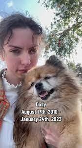 Cameron Restaino's Instagram, Twitter & Facebook