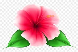 There is no psd format for flowers pictures free download transparent png images in our system. Exotic Flower Png Clip Art Image Tropical Flowers With Transparent Background Free Transparent Png Clipart Images Download