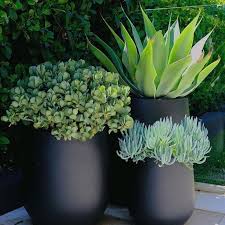 The Balcony Garden Featured Projects By Lisa Kaplan Design Gardenpots Pots Largepots Planters Outdoorpots Decoration Jardin Amenagement Jardin Jardins