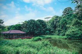 Tu dia banyak sungguh penempatan hantu kat malaysia ni kan? Kawasan Tanah Lembab Institut Penyelidikan Perhutanan Malaysia