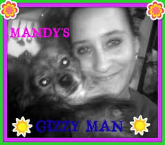 Lost cat Gizmo in Lima Allen County area