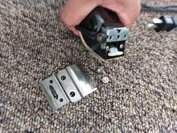 Looking for a good deal on shaver wahl? Clipper Maintenance 5 Steps With Pictures Instructables