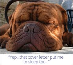 A strong cover letter is important because it can discuss your experiences and skills in further detail to help you earn a job interview or possibly an open position. How To Write A Cover Letter Definitive Guide 2021 Template