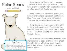 Polar Bear A Close Read Close Reading Polar Bear Facts Polar Bears Activities