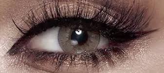 Senior vice president portfolio manager investment advisor. Bella Elite Sandy Brown Lenses Bella Elite Contact Lens