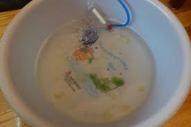 Benefits of owning a pond. Koi Eggs Not Hatching