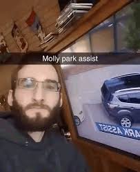 Molly Park Assist Parking GIF