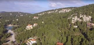 Αρχική (χάρτης) αρχική (reviews) αρχική (κλασική) περιηγηση. Ippokrateios Politeia Prosklhsh Ekdhlwshs Endiaferontos